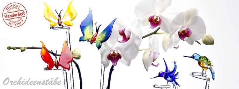 verschiedene Orchideenstäbe mit Schmetterlingen und mehr zusammen mit Orchideenblüten vor weißen Hintergrund