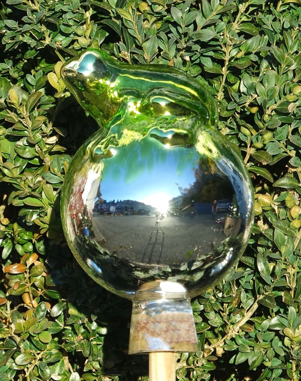 DIE Rosenkugel VENEZIA Limonengrün Frosch auf Kugel verspiegelt -  NEUHEIT 2019 - die märchenhafte Gartenidee