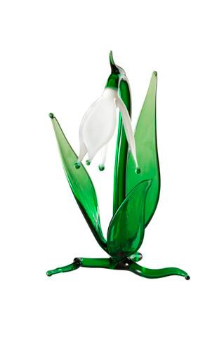 Frühblüher Schneeglöckchen ca. 9 cm groß Gläserne Blume - ein echter Evergreen.