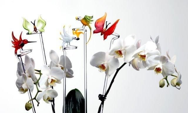 Orchideenstab Kolibri türkis