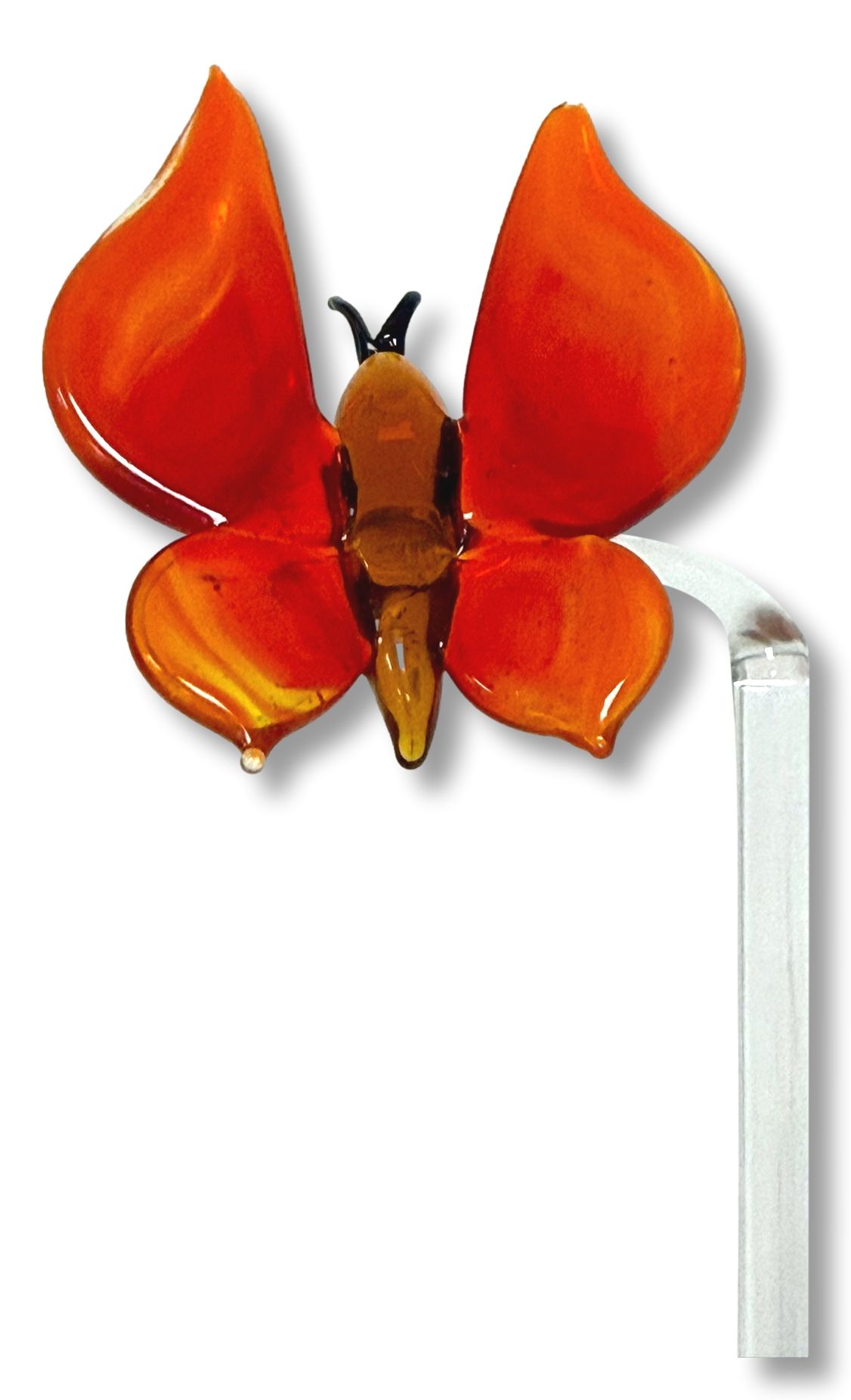 Orchideenstab Schmetterling orange-rot