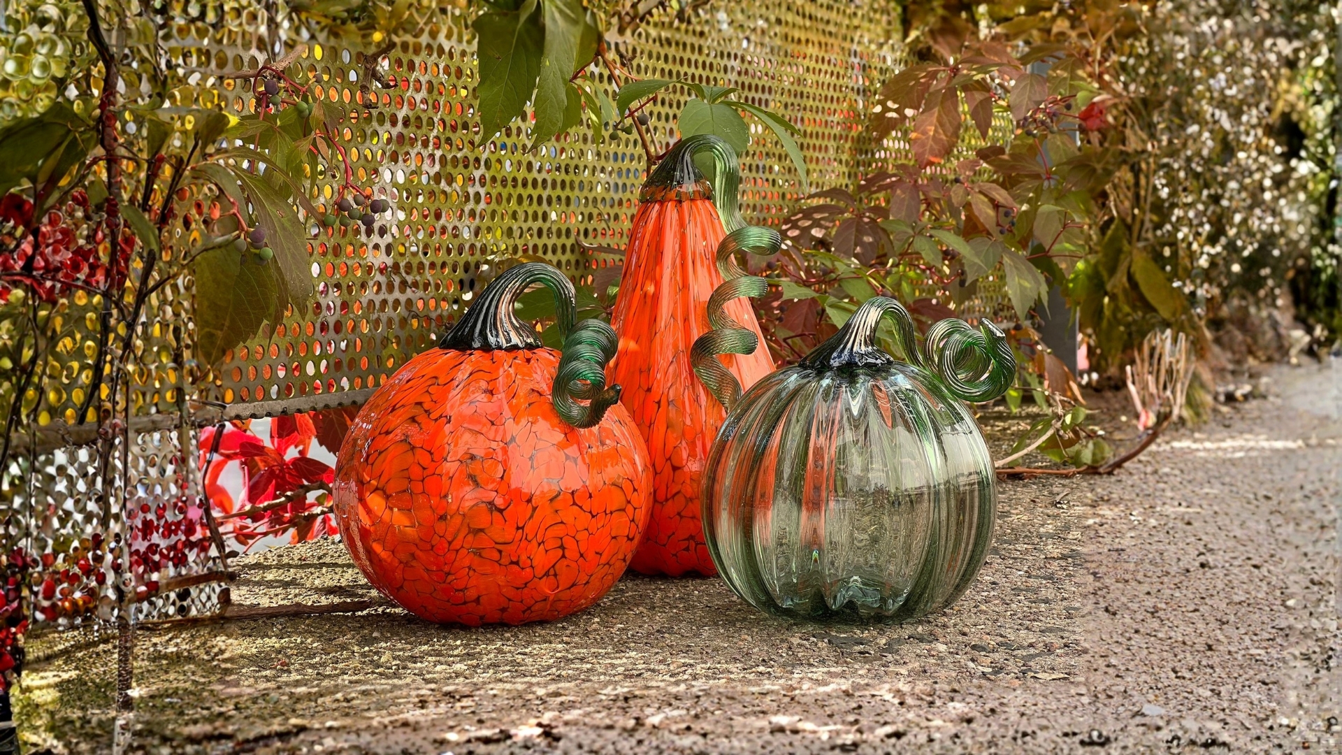 Unsere Glaskürbisse sind zurück - Herbstzauber aus Lauscha