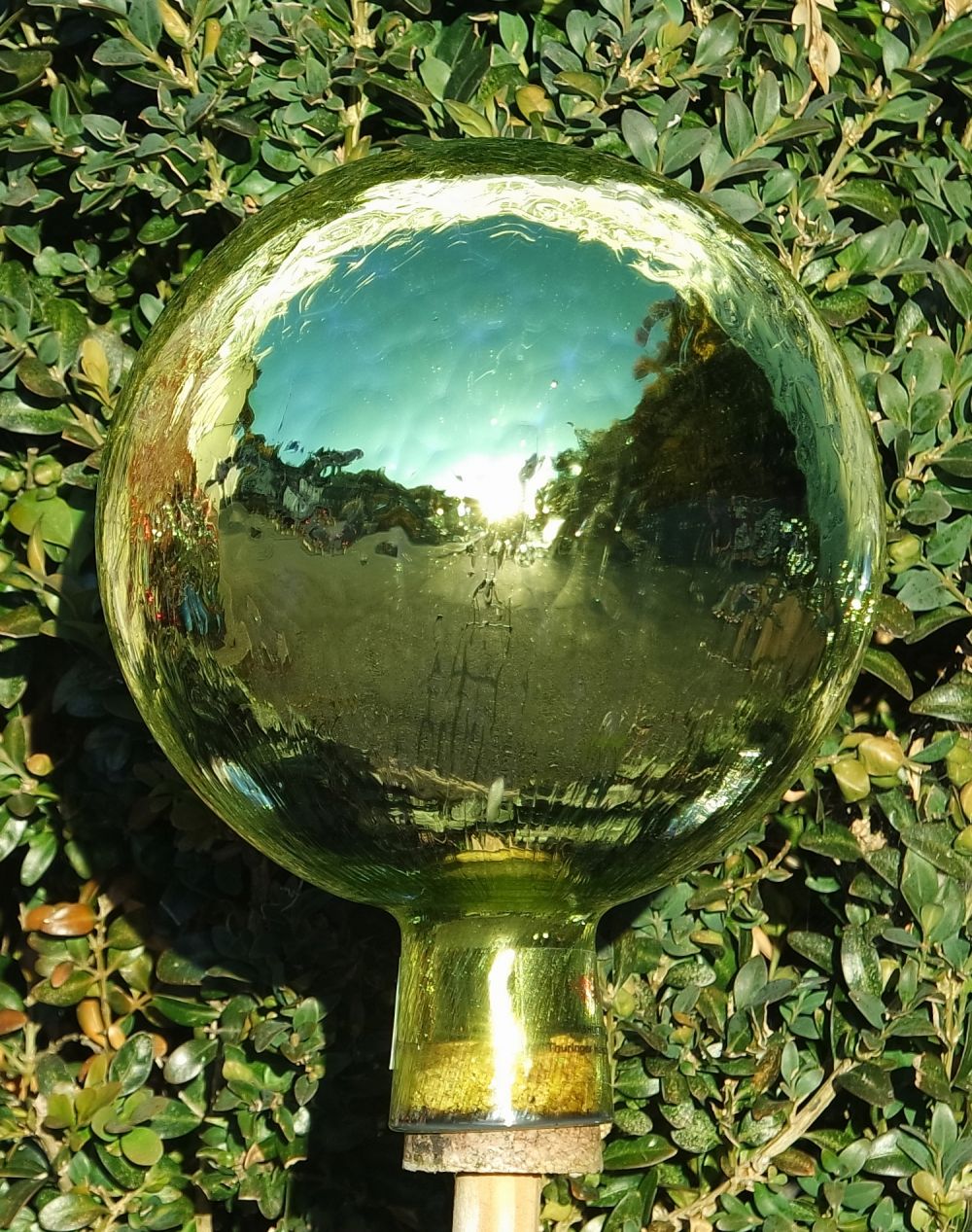 DIE Rosenkugel 15 cm VENEZIA Limonengrün verspiegelt Die Rosenkugel des Jahres 2019 - NEUHEIT