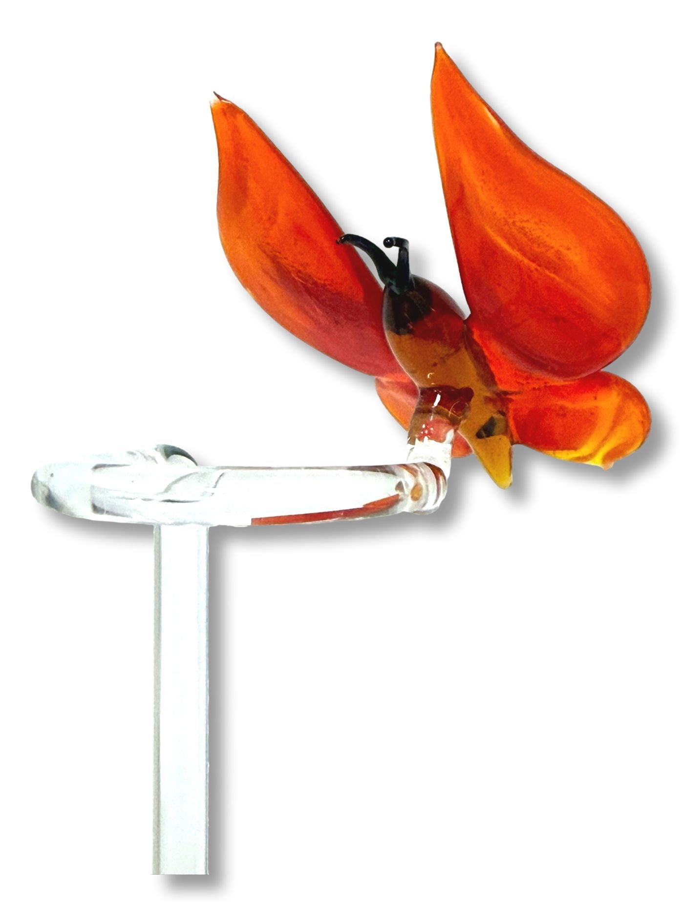 Orchideenstab Schmetterling orange-rot