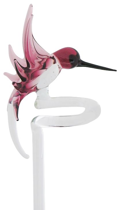 Orchideenstab Kolibri violett Orchideenstab Kolibri violett