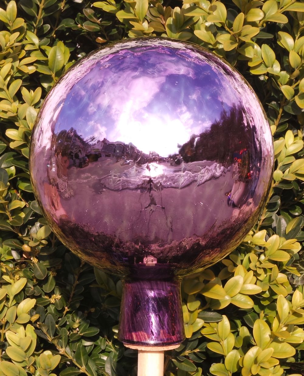 DIE Rosenkugel 15 cm VENEZIA Veilchenblau verspiegelt Die Rosenkugel des Jahres 2018 NEU