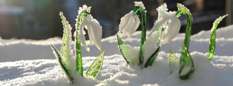 gläserne Schneeglöckchen im Schnee des Frühlings