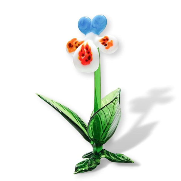 Frühblüher Stiefmütterchen ca. 11 cm groß, blau-weiß gläserne Blume - ein echter Evergreen