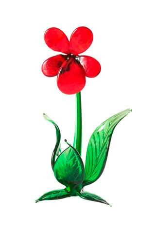 .Frühblüher Stiefmütterchen ca. 11 cm groß, rot gläserne Blume - ein echter Evergreen