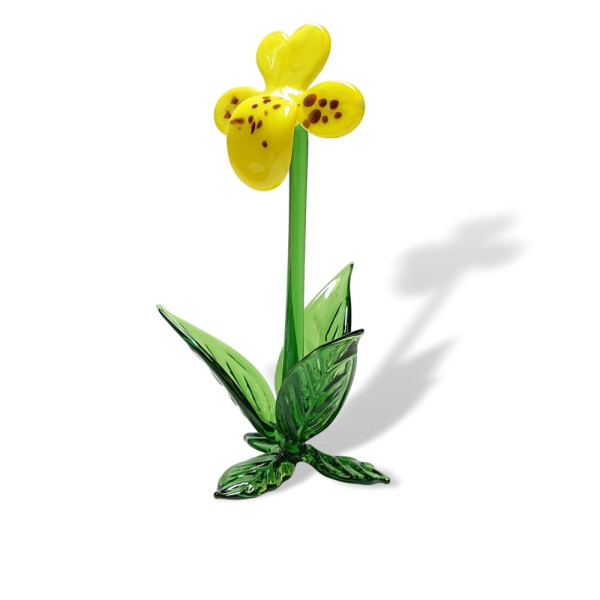 .Frühblüher Stiefmütterchen ca. 11 cm groß, gelb gläserne Blume - ein echter Evergreen